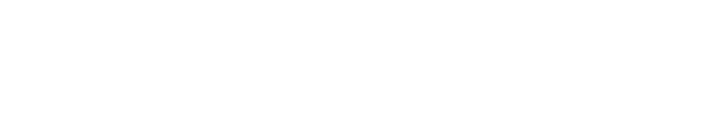 Logo Carrefour